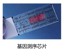 基因测序芯片